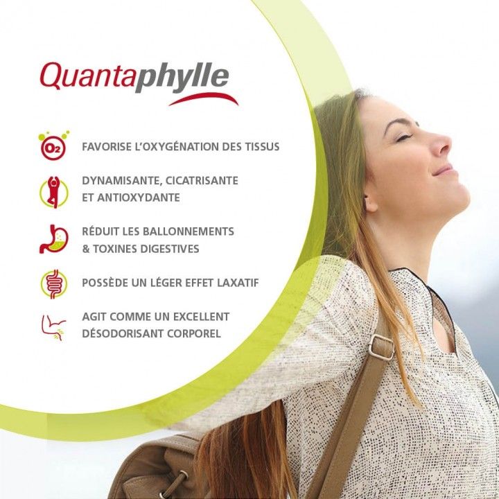 Quantaphylle