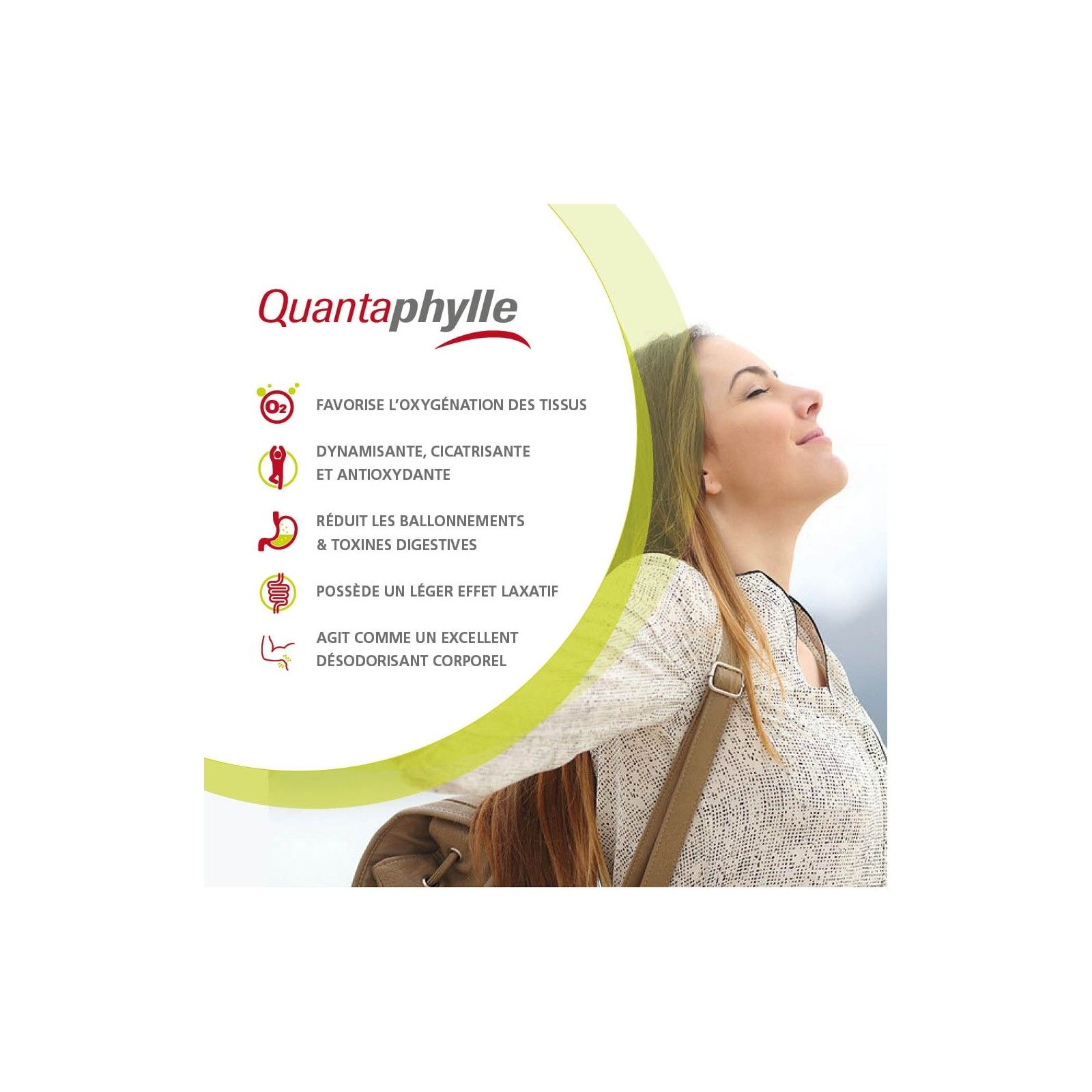 Quantaphylle