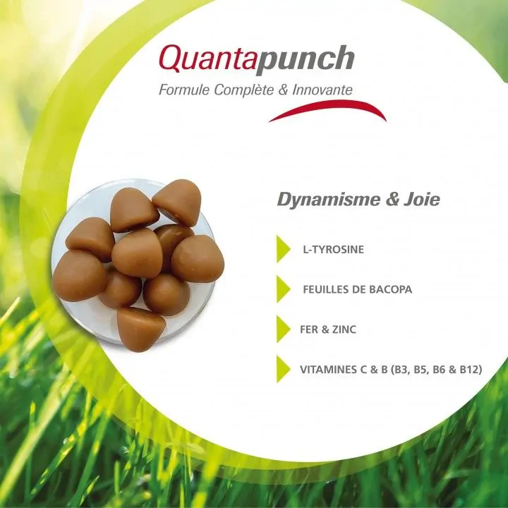 Lot de 3 boites de QuantaPunch