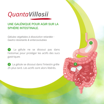 QuantaVilloSII