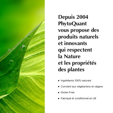 Lot de 3 Quantaonagre