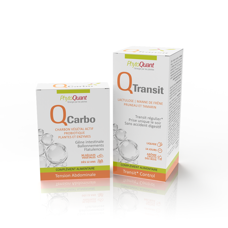 Programme ventre plat flash