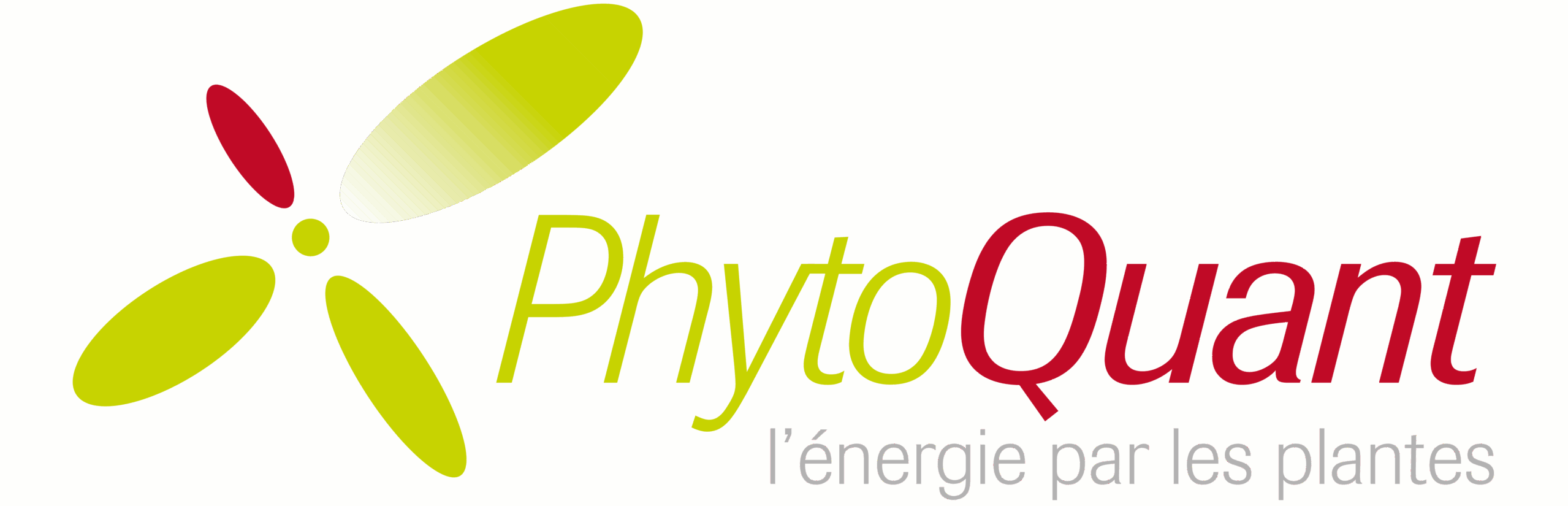 Blog Phytoquant