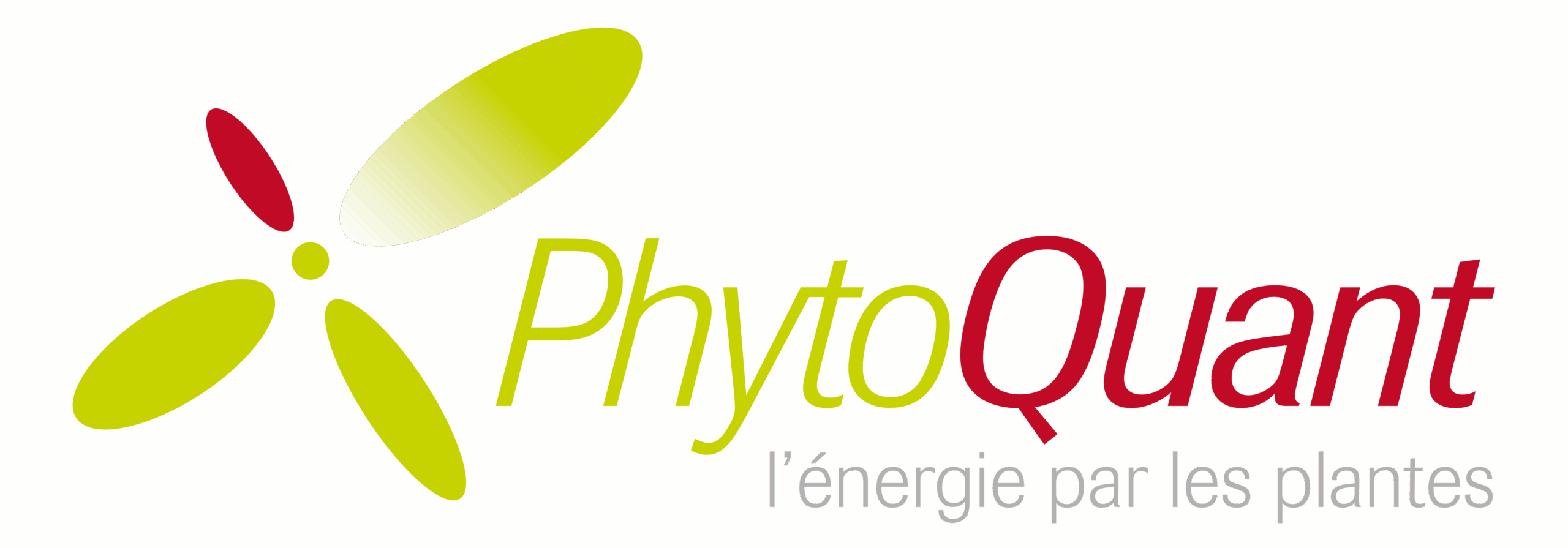 Blog Phytoquant
