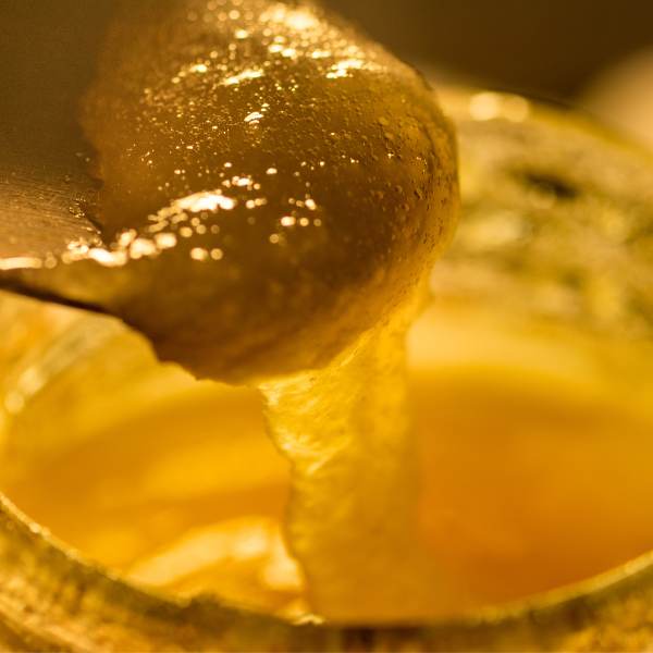 gelée royale est un produit de la ruche qui a un impact positif sur l'immunité 