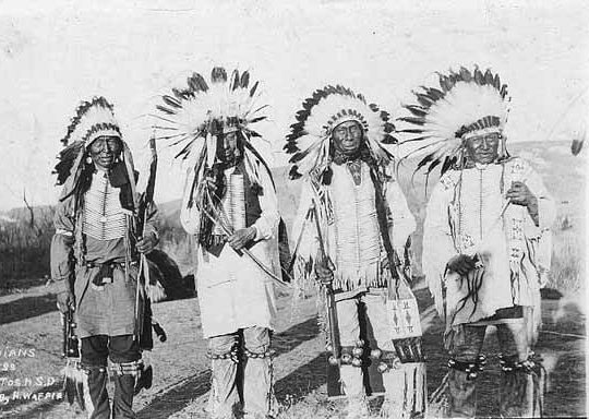 les Cheyennes et les Sioux utilisaient l'échinacée pour renforcer l'immunité déjà dans le passé