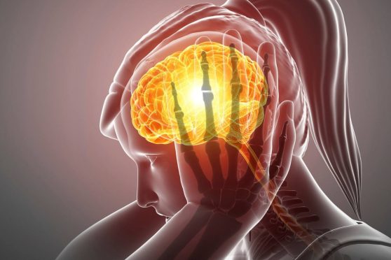 decouvrez l'impact du stress sur la sante et les conseils pratiques par phytoquant
