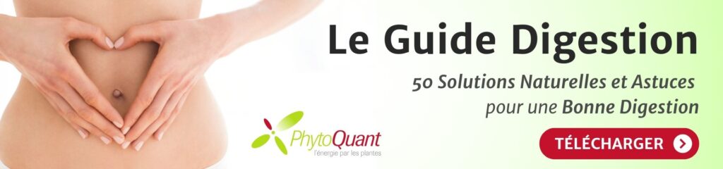 guide digestion astuces et solutions naturelles par phytoquant
