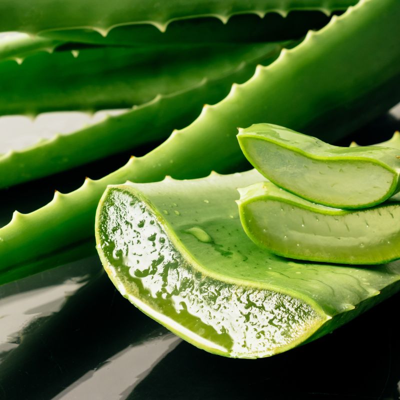 L’Aloe vera, un dépuratif traditionnel