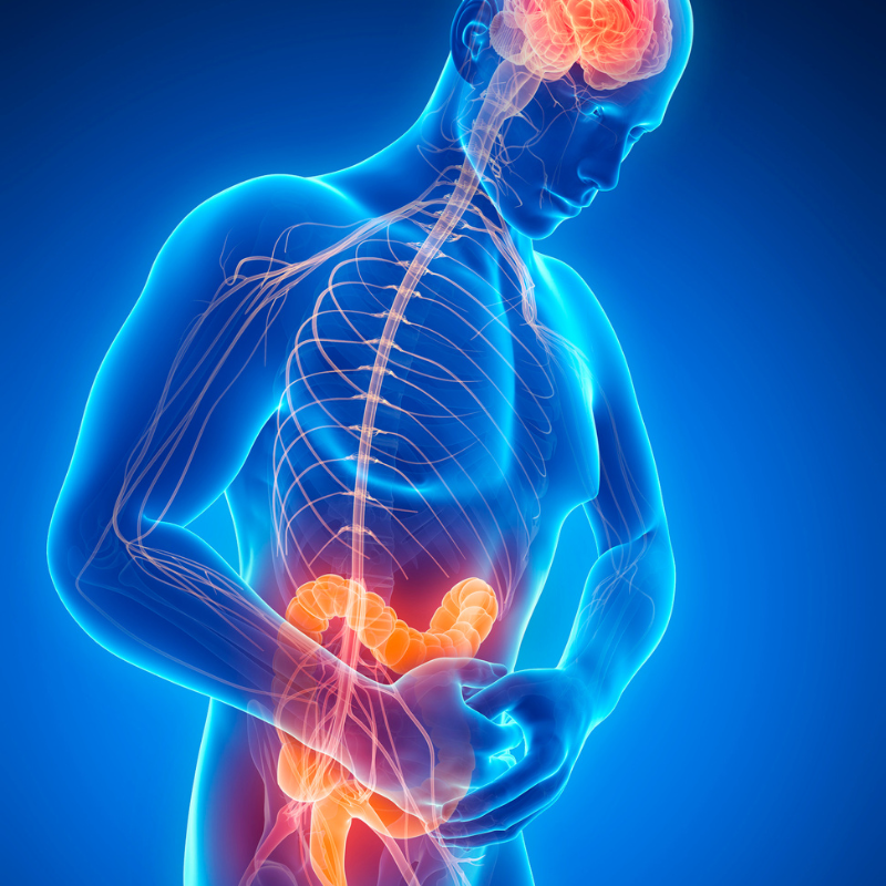 estomac lourd, ballonnements sont des symptômes de l'intestin irritable