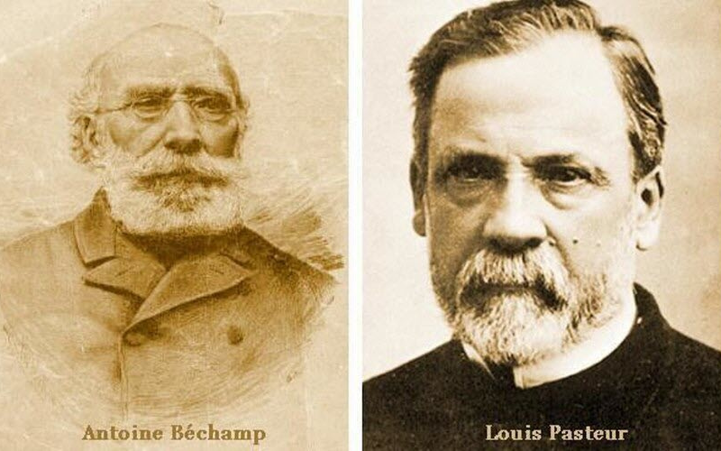 Béchamp et Pasteur : trouver l’équilibre pour une santé résiliente