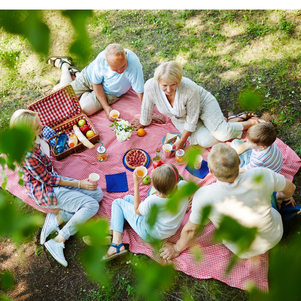 picnic en famille