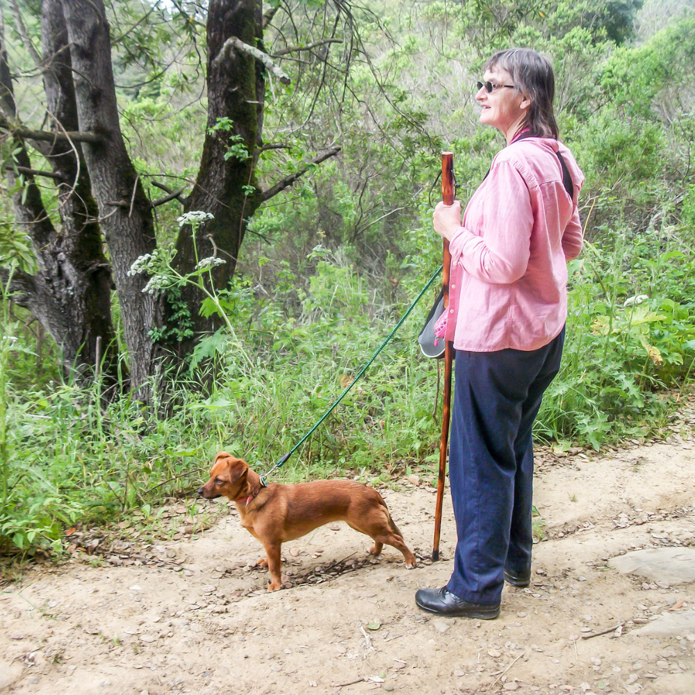 Marchez 30 minutes par jour