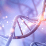 hérédité et jambes lourdes