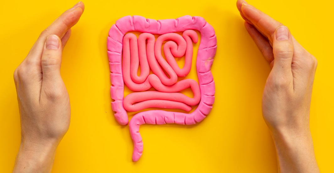 Que Manger pour Bien Digérer ?​