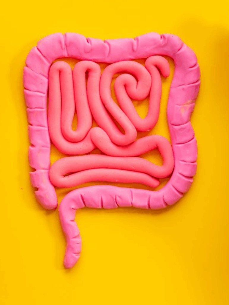 Que Manger pour Bien Digérer