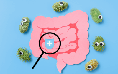 Les perturbations du microbiote, l’inflammation et le système immunitaire