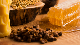 La Propolis : Le Bouclier Naturel des Abeilles​