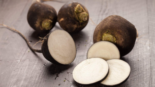 radis-noir-quantadpur