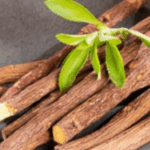 Réglisse riche en glycyrrhizine