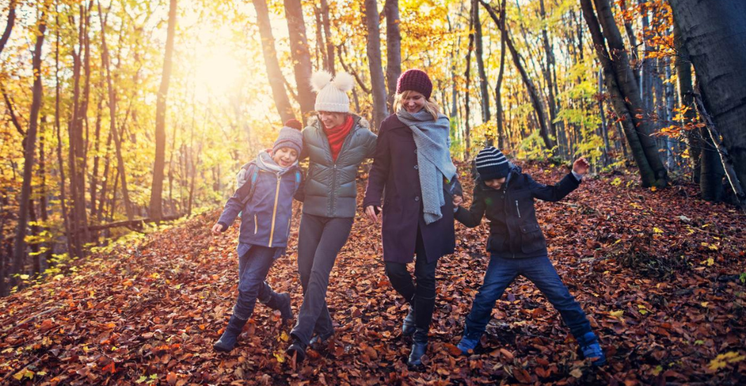 Comment renforcer son immunité pour éviter les infections de l’hiver