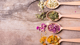 Renforcer le système immunitaire : plantes médicinales à découvrir​