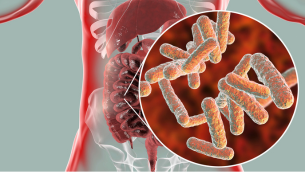 equilibre du microbiote protège la santé​