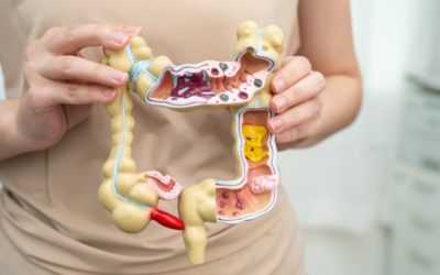 Parasites Intestinaux : Pourquoi Se Vermifuger Est Devenu Indispensable En 2025