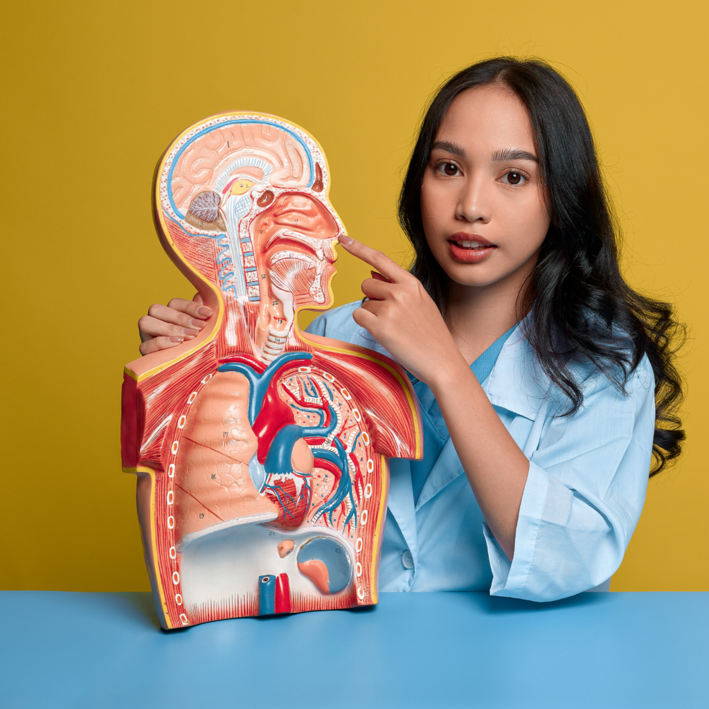 le corps fonctionne comme un système complexe où tout est interconnecté