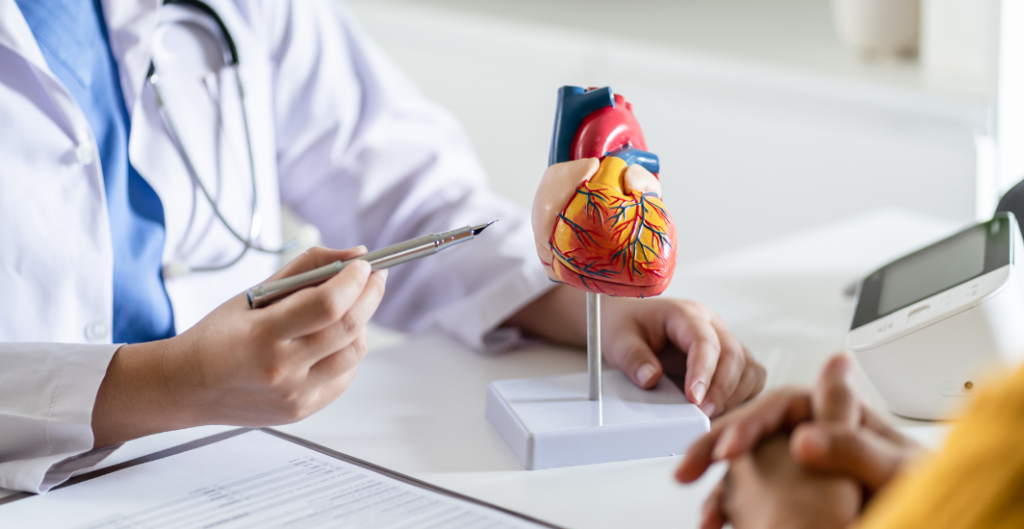 Comprendre le cholestérol : un équilibre essentiel pour la santé cardiaque