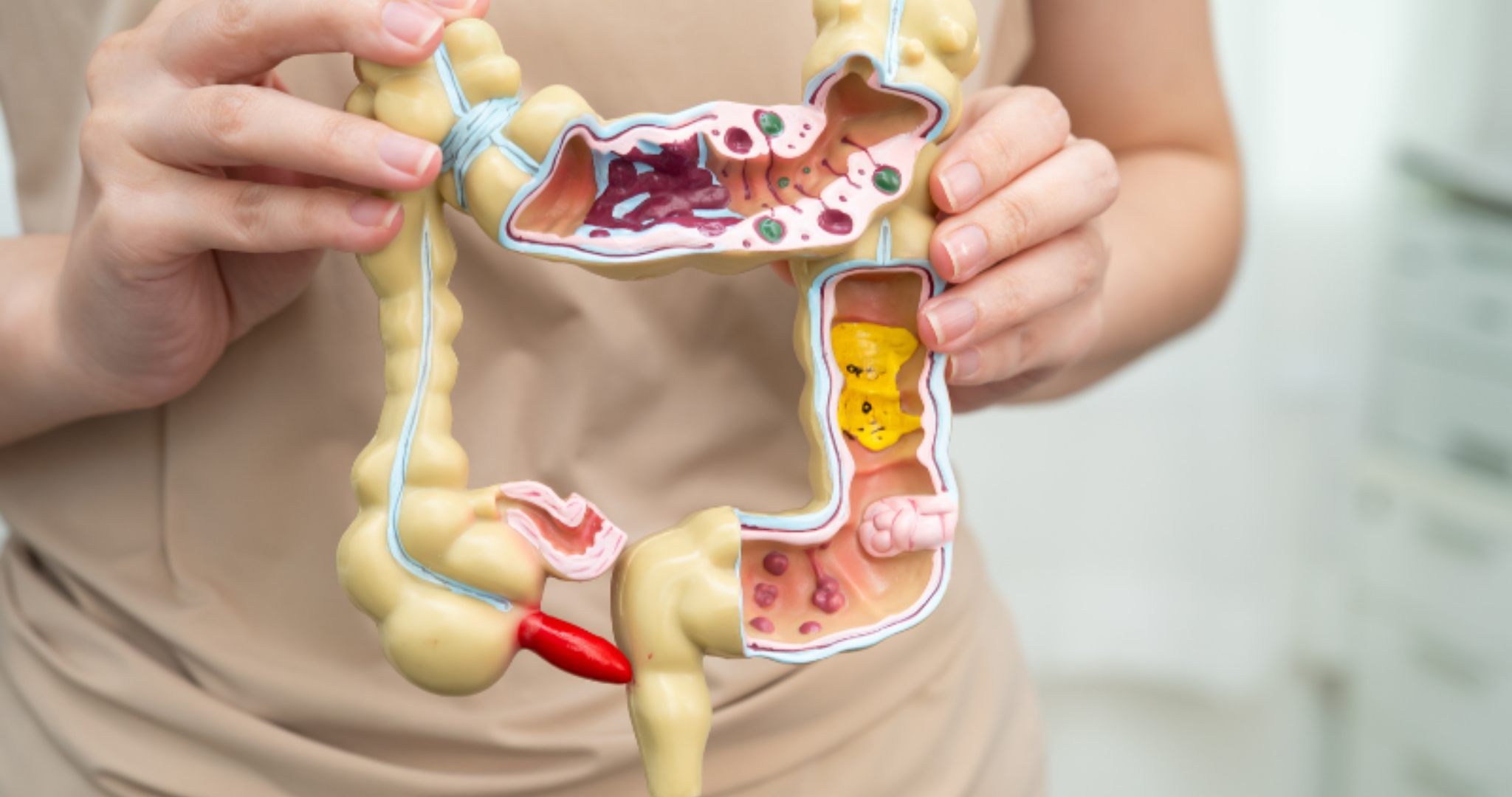 Parasites Intestinaux : Pourquoi Se Vermifuger Est Devenu Indispensable En 2026​