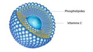vitamine c liposomale