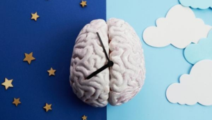 Le double effet de la mélatonine​