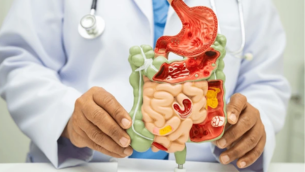 microbiote intestinal