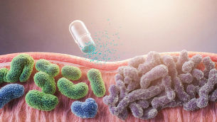 antibiotiques qui perturbent le microbiote intestinal