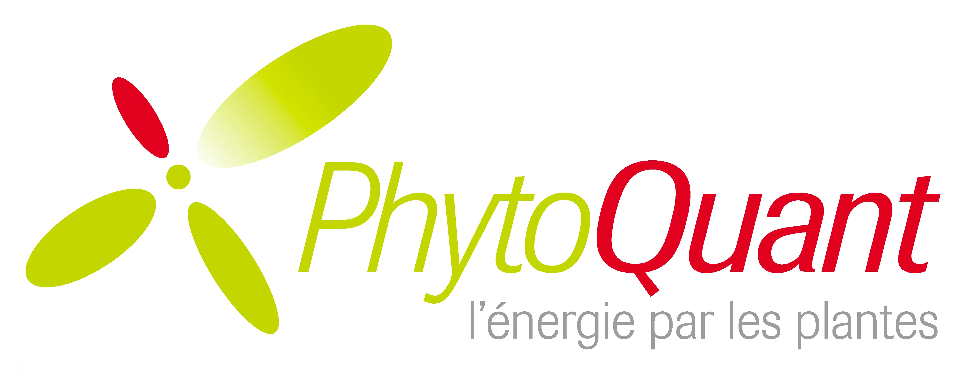 PhytoQuant