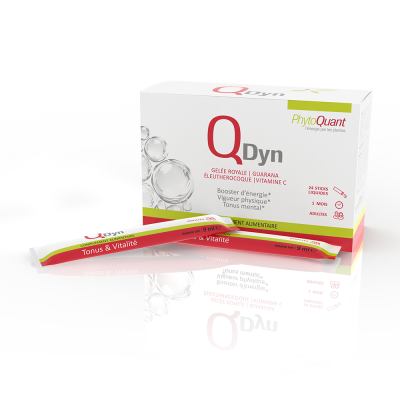 QuantaDyn